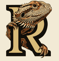 RigbyCo primary mark — bearded dragon on a serif R